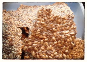 image of seed crisp without sesame seeds